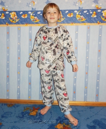 Wictoria W43A Angry Birds