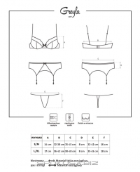 Комплект Obsessive GREYLA SET