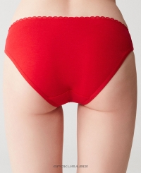 U.S. Polo ASSN 66236