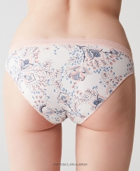 U.S. Polo ASSN 66241