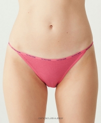 Набір трусиків U.S. Polo ASSN 67000 1