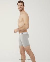 U.S. Polo ASSN 80453