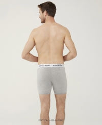 U.S. Polo ASSN 80453